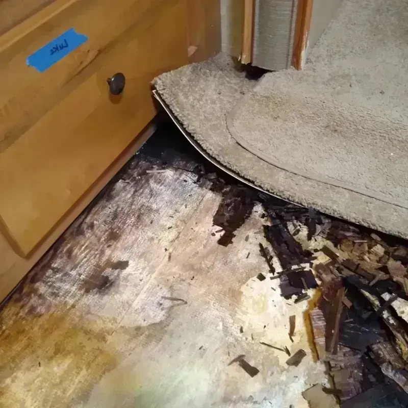 Wood Floor Water Damage in Malta, MT